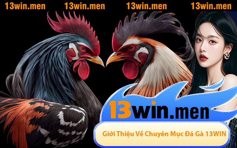 Giới Thiệu Về Chuyên Mục Đá Gà Tại Nhà Cái 13WIN