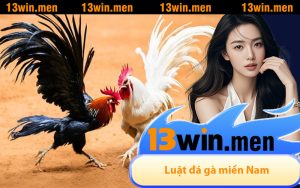 Luật đá gà miền Nam