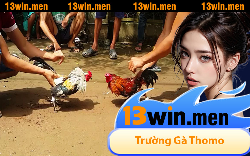 Trường Gà Thomo