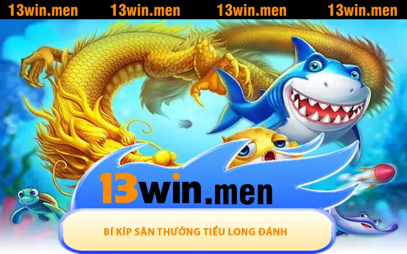 Bí kíp săn thưởng Tiểu Long Đánh Cá từ các tay chơi 13WIN kỳ cựu